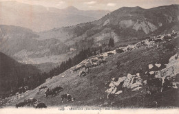 74-SAMOENS-N°3879-G/0351 - Samoëns