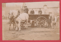 Métiers Agricoles , Attelage , Chevaux  / Photo Originale Bromure ( Voir Verso ) - Beroepen