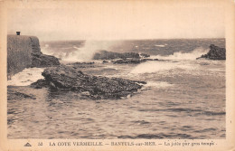 66-BANYULS SUR MER-N°T2940-C/0353 - Banyuls Sur Mer