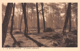 40-FORET LANDAISE-N°3882-H/0397 - Other & Unclassified