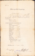 Elemi Népiskolai Bizonyitvány Kolozsvár, 1904 A2386N - Diplômes & Bulletins Scolaires