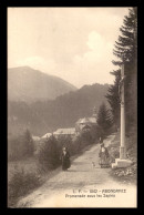 74 - ABONDANCE - PROMENADE SOUS LES SAPINS - Abondance