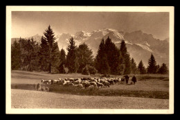 74 - SERVOZ - PLEINE-JOUX ET CHAINE DU MONT-BLANC - TROUPEAU DE MOUTONS - Autres & Non Classés