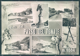Trento Passo Del Tonale Saluti Da FG Cartolina JK3218 - Trento