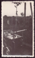 PHOTO D UN BEBE DANS UN LANDAU 6.5 X 11 CM - Personnes Anonymes