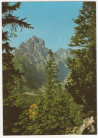 Vysoké Tatry - Pohlad Z Magistrali Do Malej Studenej Doliny - (Slovakia) - The High Tatras - Eslovenia