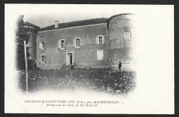 Château De Sauveteire XIIe Siècle Près Maubourguet - Other & Unclassified