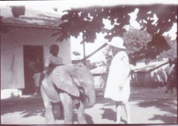 Photo Originale -1924 -Tanzania ( Tanganyika ) Deutsch Ostafrikas -TANGA - A La Ferme éléphanteau Orphelin - Orte