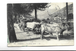 CPA   DPT 65 LOURDES , UN ATTELAGE PAYSAN  En 1909! - Wagengespanne