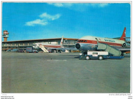 FIUMICINO (RM):  AEROPORTO  INTERCONTINENTALE  DI  ROMA  " LEONARDO  DA  VINCI "  -  FOTO  -  FG - Aérodromes