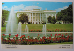 ETATS-UNIS - WASHINGTON DC - The White House - Washington DC