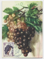 TUNISIE 12FR RAISIN  CARTE MAXIMUM TUNIS 23.5.1957 - Tunisia