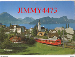 CPM - VITZNAU Am Vierwaldstättersee ( Canton De Lucerne Suisse ) N° 6354 - Verlag M.Bürgi - Luzern