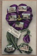 CPA 84 - SORGUES - Une Pensée De Sorgues - TB CP Multivue En Cartes Postales Dans La Fleur Dont Animations - Sorgues