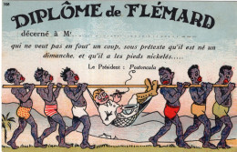 DIPLÔME De FLEMARD - Humor