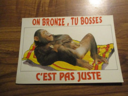 CP Animaux - Singes - Chimpanzé - Animaux Humanisés - Monkeys