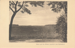 PC46684 Blick Auf Die Wiese Westlich Von Ruhlsdorf. W. Neumann. B. Hopkins - Monde