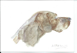 CP Aquarelle De Bernard Le Beguec - Le Chien Braque - Dogs