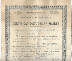 Diplôme - Certificat D'Etudes Primaires - 1905 - Académie Dijon - Département Nièvre - Pouilly Garchy - GALOPPIN - - Diploma & School Reports