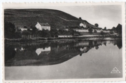 Vignobles  Les Goisses   Carte Photo  Pol - Mareuil-sur-Ay