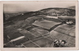 Ballaison   Vignoble Du Crépy  Carte Photo - Autres & Non Classés