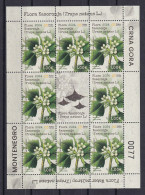 MONTENEGRO 2024,FLORA,PLANTS,KASORONJA,TRAPA NANTES,SHEET,MNH - Other & Unclassified