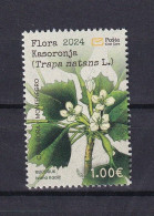 MONTENEGRO 2024,FLORA,PLANTS,KASORONJA,TRAPA NANTES,MNH - Montenegro