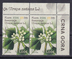 MONTENEGRO 2024,FLORA,PLANTS,KASORONJA,TRAPA NANTES,MNH - Montenegro