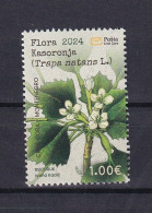 MONTENEGRO 2024,FLORA,PLANTS,KASORONJA,TRAPA NANTES,RELICT,MNH - Otros & Sin Clasificación