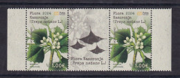 MONTENEGRO 2024,FLORA,PLANTS,KASORONJA,TRAPA NANTES,WIGNETTE,MNH - Montenegro