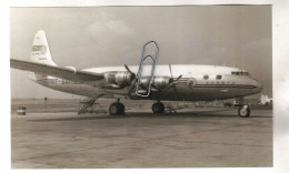 PHOTO AVION  AVIATION  DOUGLAS DC 4 - Luchtvaart