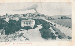 Cartolina - Postcard / Non Viaggiata /  Napoli - Villa Nazionale Con Acquario. - Napoli (Naples)