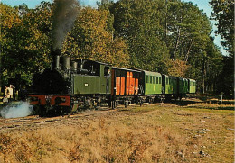 Trains - Parc Naturel Régional Des Landes De Gascogne - Ecomusée De La Grande Lande Marqueze Sabres - Train De Marqueze  - Treni