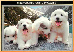 Animaux - Chiens - Chien Des Pyrénées - Chiots - CPM - Voir Scans Recto-Verso - Dogs
