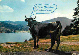 Animaux - Vaches - Carte à Message Humoristique - Lac De Gérardmer - CPM - Voir Scans Recto-Verso - Kühe