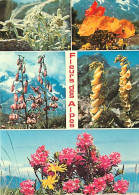 Fleurs - CPM - Voir Scans Recto-Verso - Fleurs