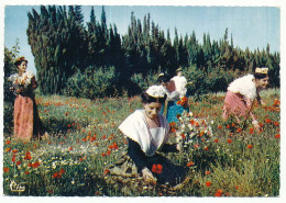 CPSM Dentelée 10.5 X 15  Bouche Du Rhône Groupe Folklorique "Lou Riban De Prouvenço" Costumes Du Pays D'ARLES - Arles