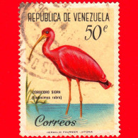 VENEZUELA - Usato - 1961 - Uccelli - Ibis Scarlatto (Eudocimus Rubra) - 50 - Venezuela