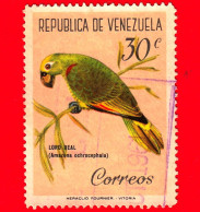 VENEZUELA - Usato - 1961 - Uccelli - Pappagallo Dalla Corona Gialla (Amazona Ochrocephala) - 30 - Venezuela