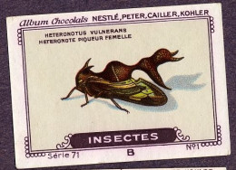 Nestlé - 71B - Insectes, Insects - 3 - Diactor Bilineatus - Nestlé