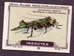 Nestlé - 71B - Insectes, Insects - 6 - Ephippiltha Tibialis - Nestlé