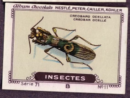 Nestlé - 71B - Insectes, Insects - 11 - Pseudocreobotra Ocellata - Nestlé