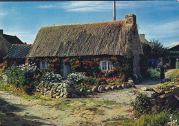 France CPA La Bretagne En Couleurs Chaumiére Bretonne Fleurie Edit. D'Art Jos. (2 Scans) - Bretagne