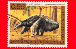 VENEZUELA - Usato - 1963 - Fauna - Formichiere Gigante (Myrmecophaga Tridactyla) - 0.55 P. Aerea - Venezuela