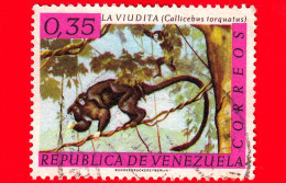 VENEZUELA - Usato - 1963 Fauna - Cincia Dal Collare Bianco (Calicebus Torquatus) - 0.35 - Venezuela