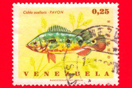 VENEZUELA - Usato - 1966 - Pesci - Pavone Basso (Cichla Ocellaris) - Cichla Ocellaris - 0.25 - Venezuela