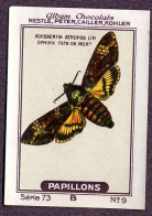 Nestlé - 73B - Papillons, Butterflies - 9 - Acherontia Atropos, Sphinx Tête De Mort, Greater Death's Head Hawkmoth - Nestlé