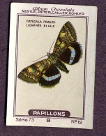 Nestlé - 73B - Papillons, Butterflies - 12 - Catocala Fraxini, Lichénée Bleue, Blue Underwing - Nestlé