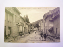 2024 - 1179  LAVELANET  (Ariège)  :  Avenue De Bélesta   XXX - Lavelanet