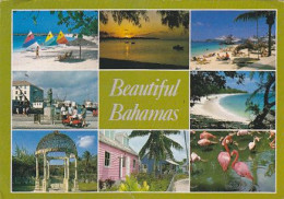 AK 210951 BAHAMAS - Bahama's
